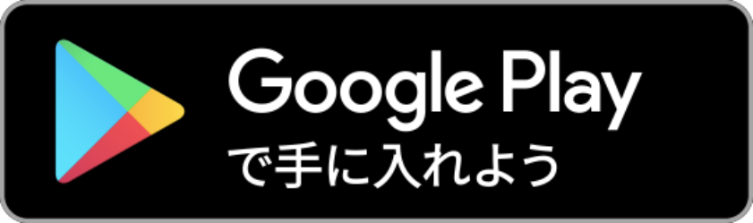 Google Store