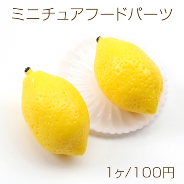ミニチュアフードパーツ プラスチック製 フェクスフードデコパーツ 食品サンプル貼付けパーツ  檸檬 レモン 24×39mm（1ヶ）