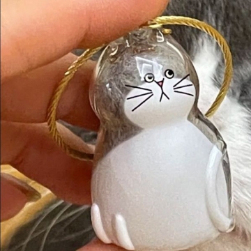 愛猫の毛玉入れ 猫の毛玉ケース 愛猫の毛を入れる透明ケース クリアケース 大切なペットがいつでも隣に  愛猫 ねこ ネコ  (1ヶ)