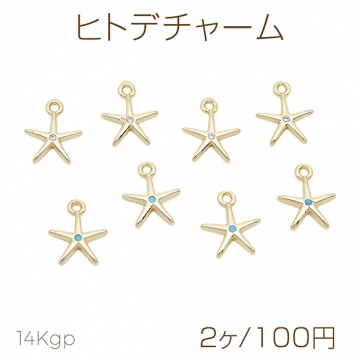 ヒトデチャーム ストーン付き 海洋生物 スター 星 メタルチャーム 約8×11mm（2ヶ）