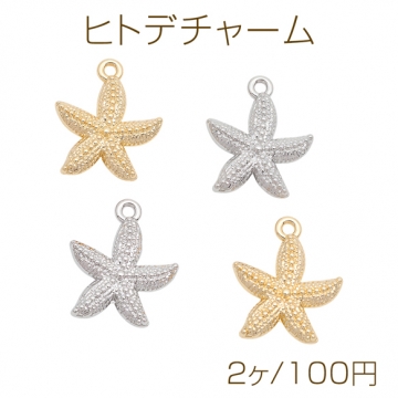 ヒトデチャーム 海洋生物 夏 マリンチャーム メタルチャーム 約18×22mm（2ヶ）