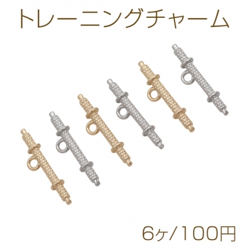 トレーニングチャーム スポーツ用品 スポーツジム フィットネス ミニチュア メタルチャーム 約6×23mm（6ヶ）