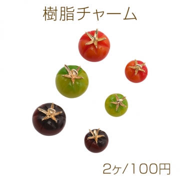 樹脂チャーム ミニトマト 食品サンプル ミニチュアフード カン付き 約10×13mm（2ヶ）